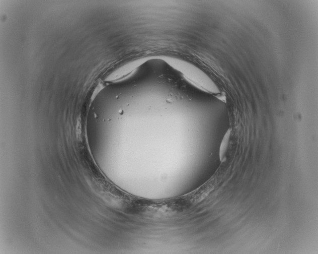 X0000075360502200609291504