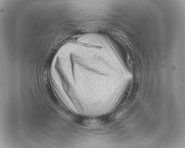 X0000075360503200609291504