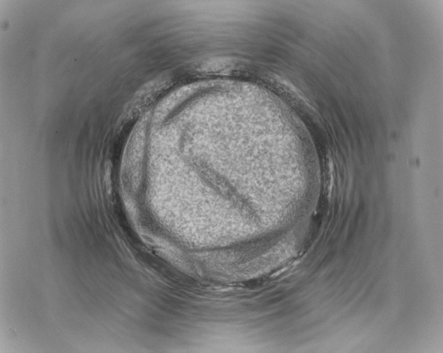 X0000075360504200609291504