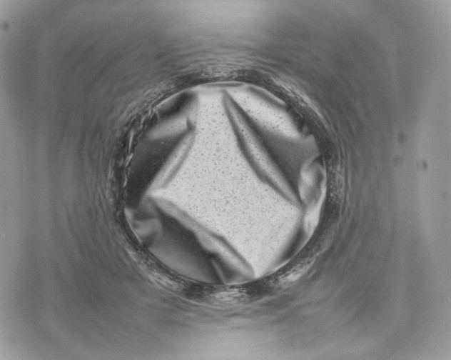 X0000075360505200609291504