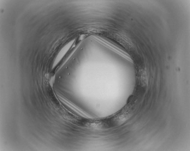 X0000075360506200609291504