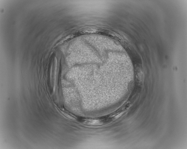 X0000075360507200609291504