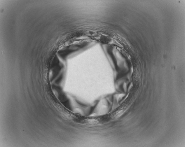 X0000075360509200609291504