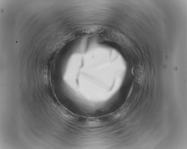 X0000075360510200609291504