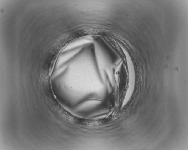 X0000075360513200609291504