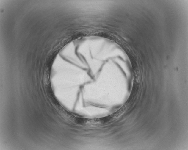 X0000075360515200609291504