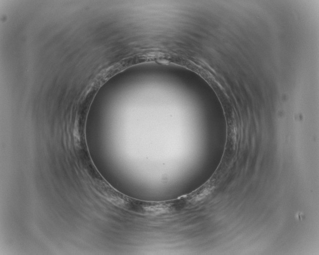 X0000075360516200609291504