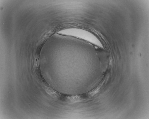 X0000075360517200609291504