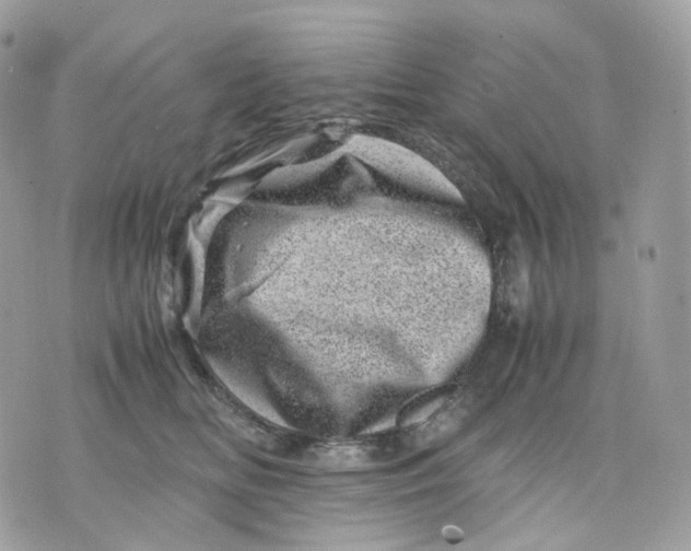 X0000075360518200609291504