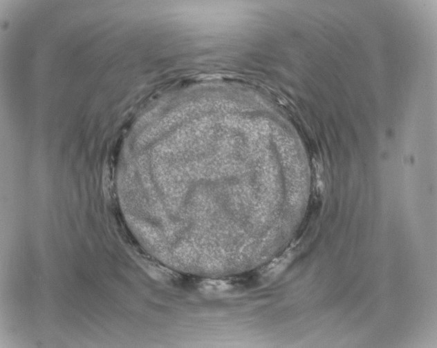 X0000075360519200609291504