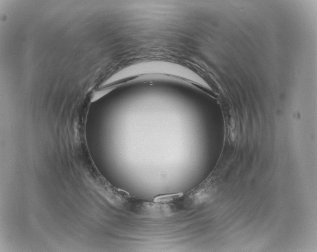 X0000075360520200609291504