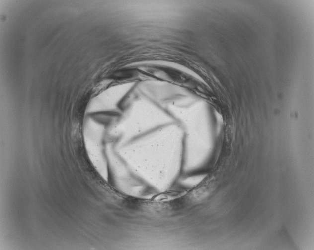 X0000075360521200609291504