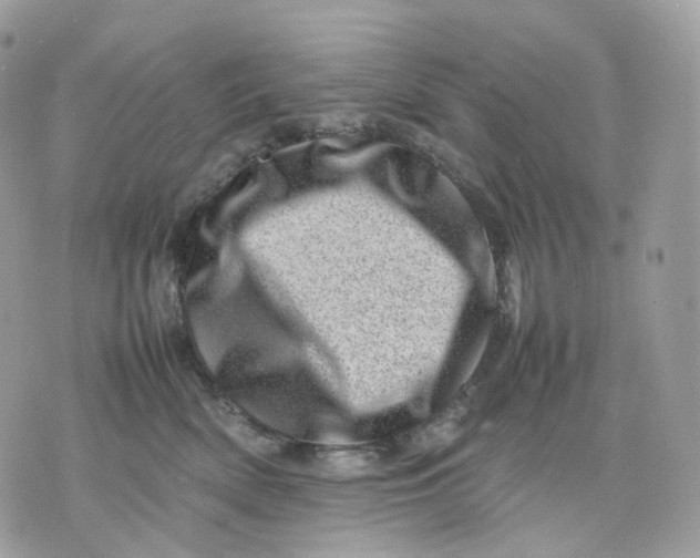 X0000075360522200609291504