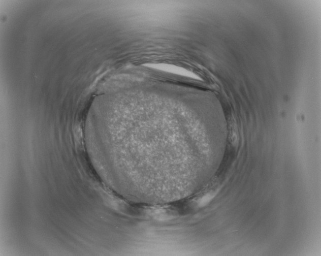 X0000075360523200609291504