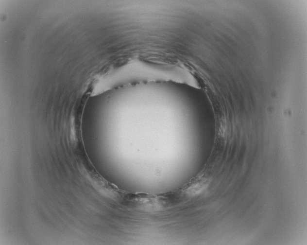 X0000075360524200609291504