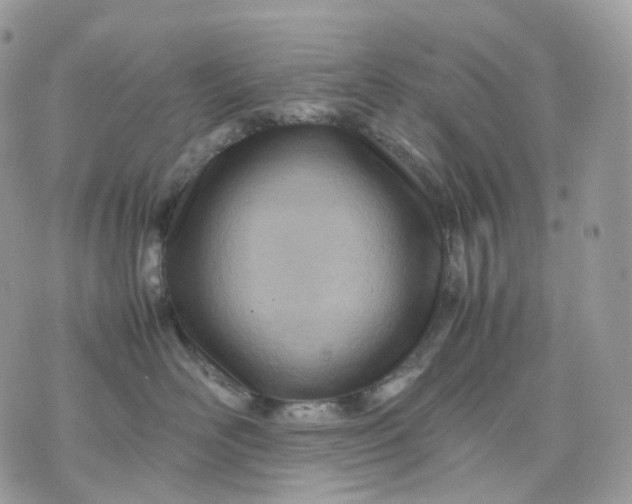 X0000075360526200609291504