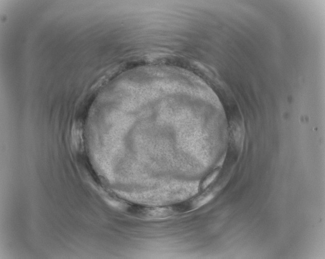 X0000075360527200609291504