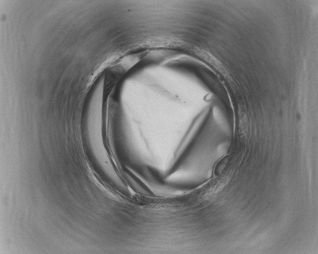 X0000075360530200609291503