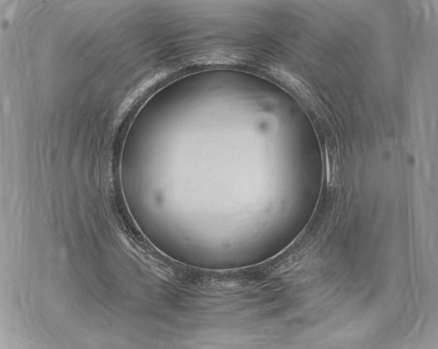 X0000075360531200609291503