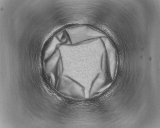 X0000075360532200609291503