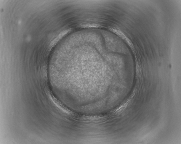 X0000075360533200609291503