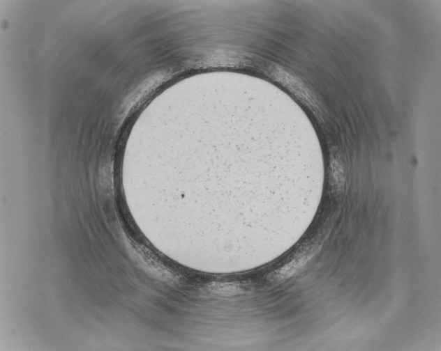 X0000075360534200609291503