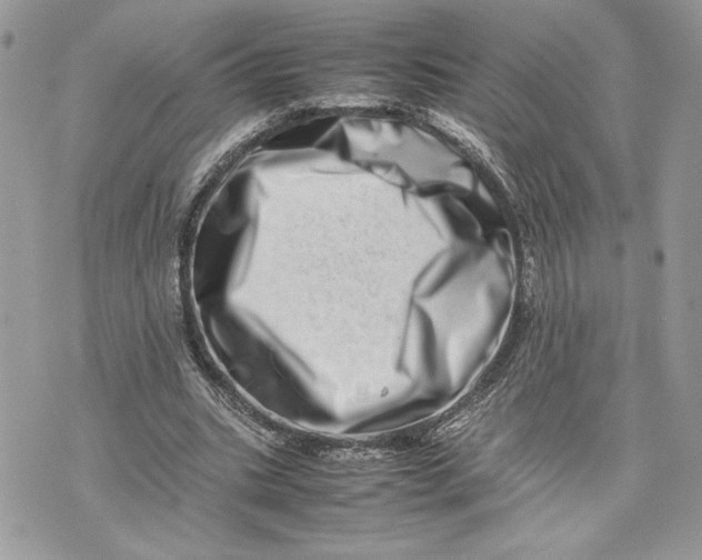 X0000075360535200609291503