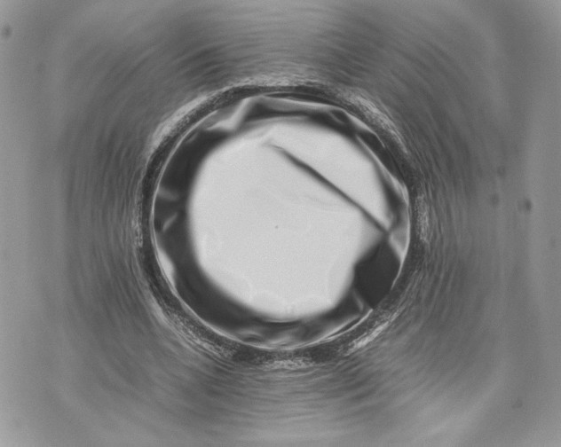 X0000075360536200609291503