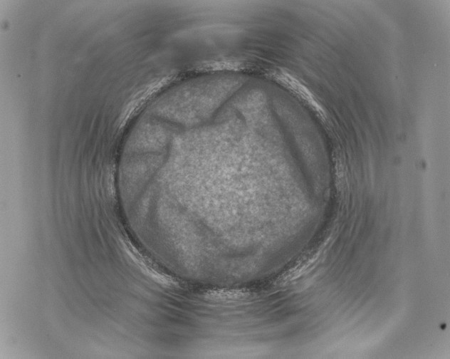 X0000075360537200609291503