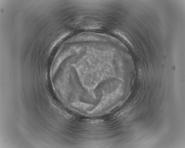 X0000075360539200609291503