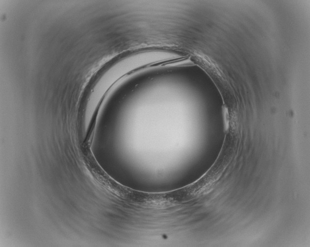 X0000075360540200609291503