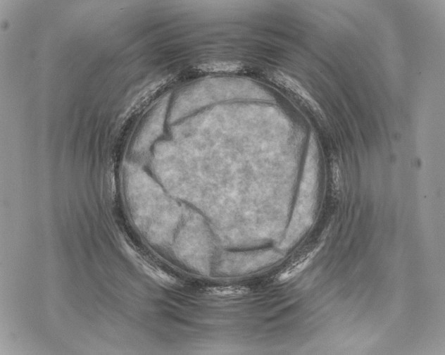 X0000075360541200609291503