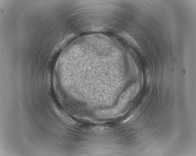 X0000075360542200609291503