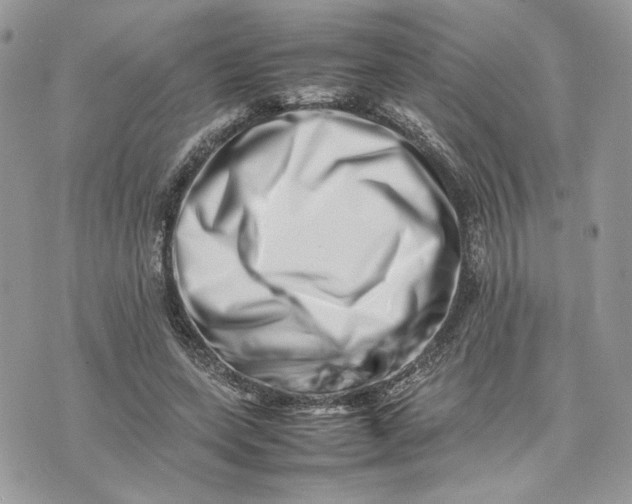 X0000075360543200609291503