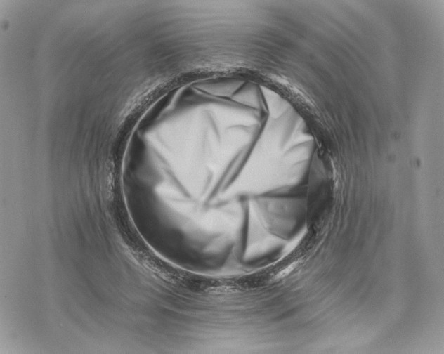 X0000075360544200609291503