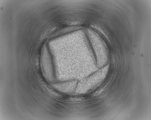 X0000075360545200609291503