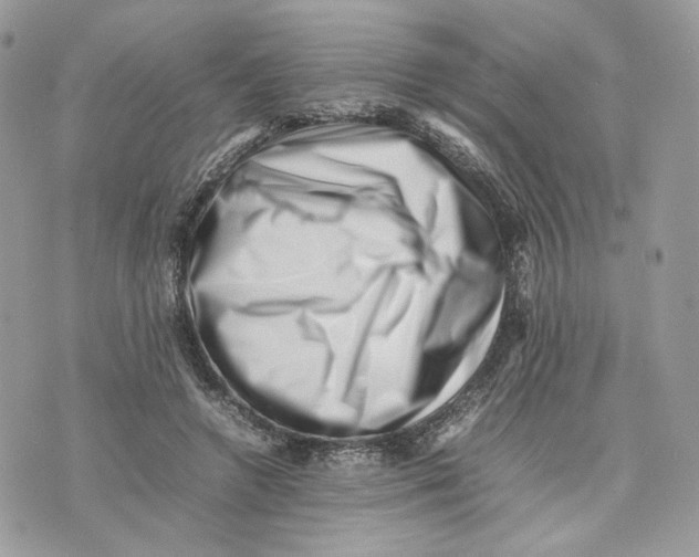 X0000075360546200609291503