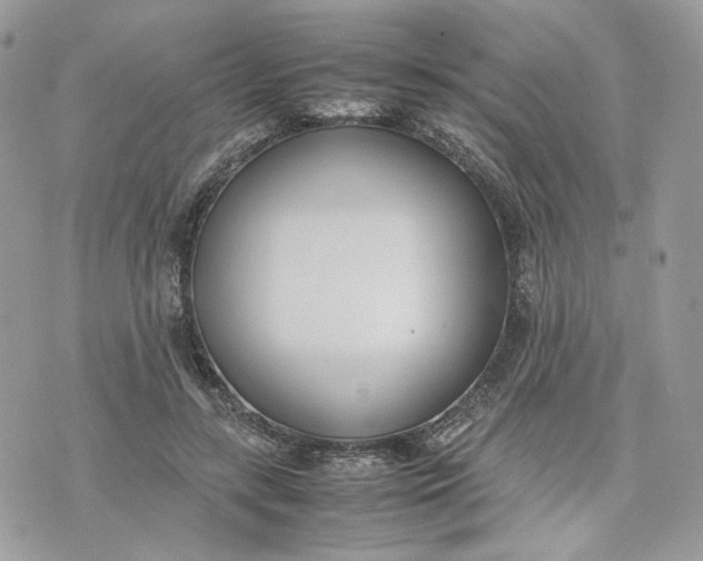 X0000075360547200609291503