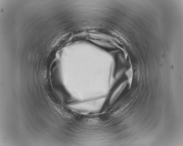 X0000075360548200609291503