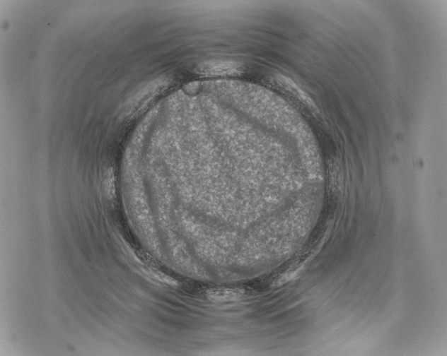 X0000075360549200609291503