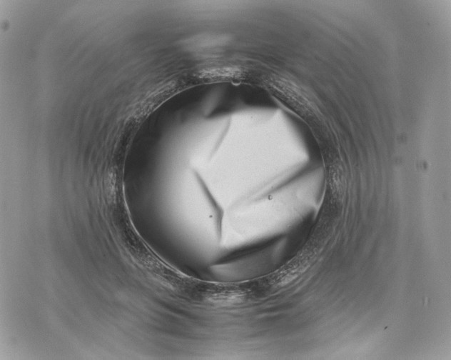 X0000075360551200609291503