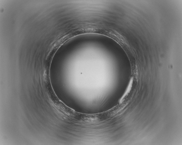 X0000075360552200609291503