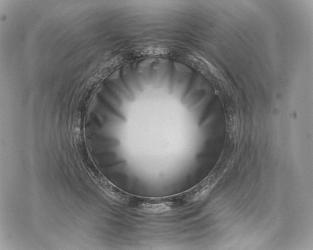 X0000075360553200609291503