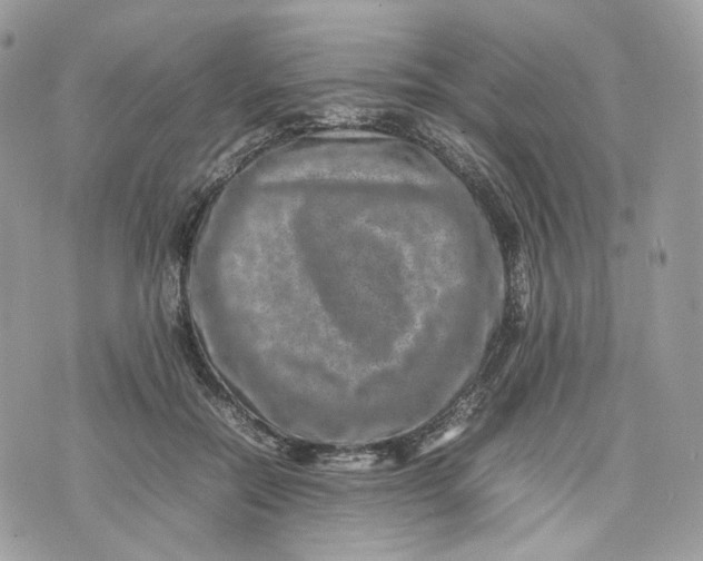 X0000075360554200609291503