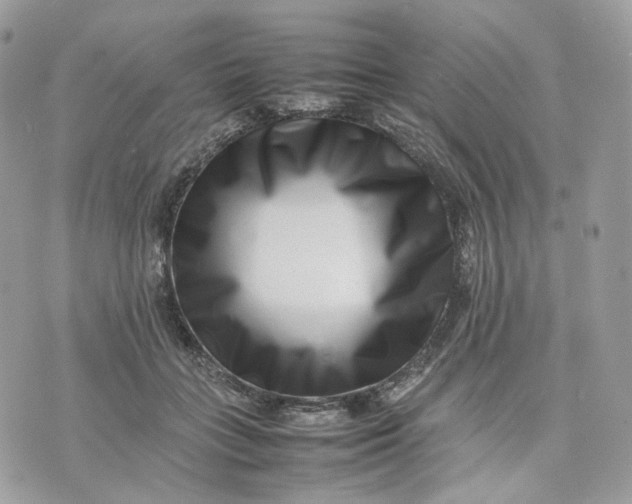 X0000075360555200609291503