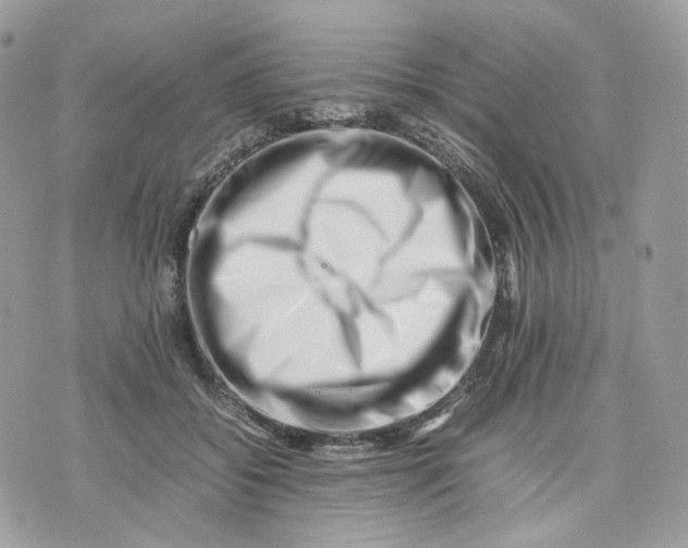 X0000075360556200609291503