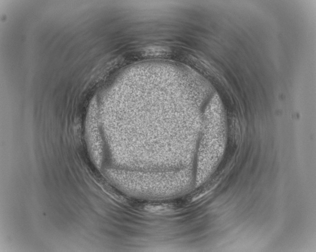 X0000075360557200609291503