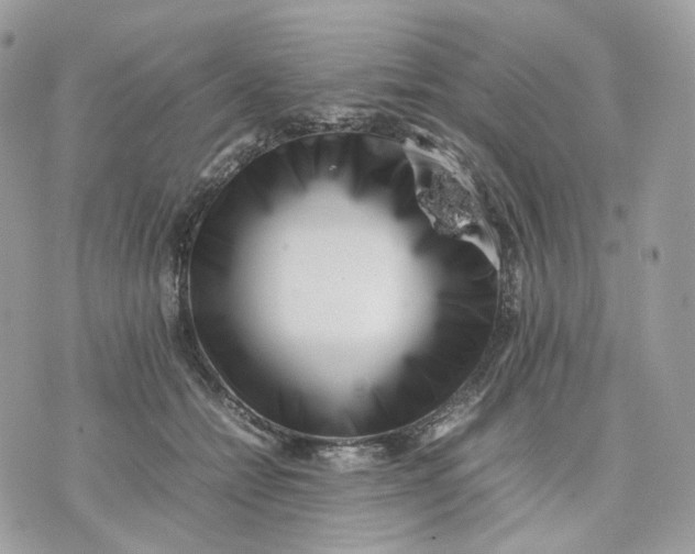 X0000075360558200609291504