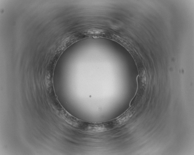 X0000075360559200609291504