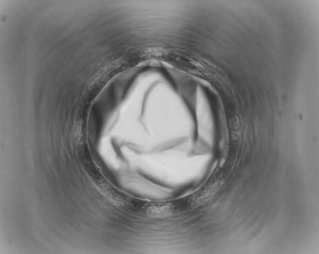 X0000075360560200609291504